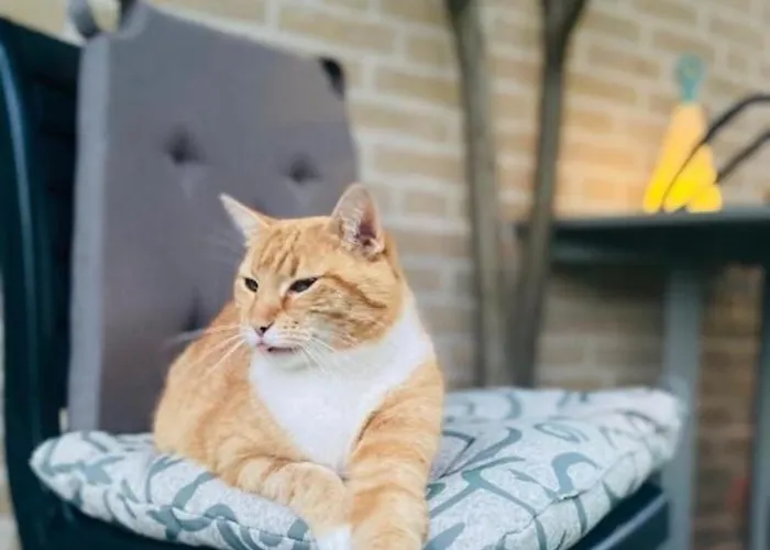 Alojamento de Acomodação e Pequeno-almoço Maison Saint Tropez Eindhoven